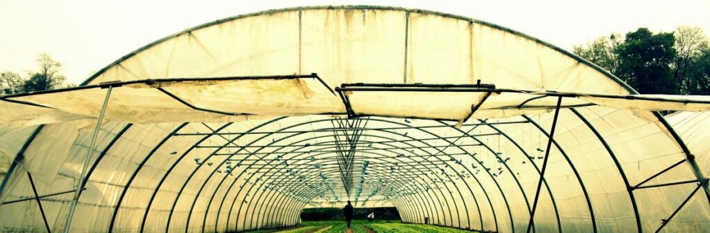 Le mouvement Emmaüs, en collaboration étroite avec la direction de l’administration pénitentiaire porte ce dispositif national d’essaimage de la ferme de Moyembrie dans l'Aisne (02).
Caritas Habitat s’engage pour l’insertion des détenus, étudie deux projets de fermes en Normandie et en Bourgogne prévoyant la création de 32 places d’hébergement environ.